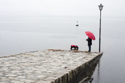 Low section of woman carrying umbrella while standing with dog on pier