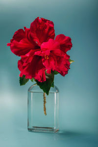 Close-up of flowers in glass on table