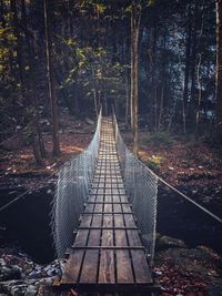 Walkway amidst trees in forest