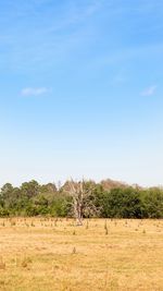 Scenic view of farm against clear sky