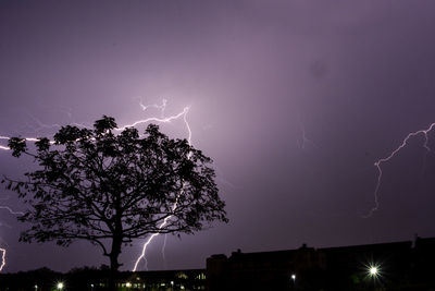 Low angle view of silhouette trees against sky at night
