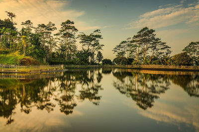 Reflection of trees in lake against sky during sunset