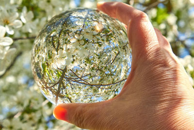 Close-up of hand holding glass