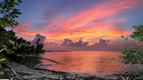 Scenic view of sea against orange sky