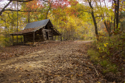 Abandoned house by trees in forest