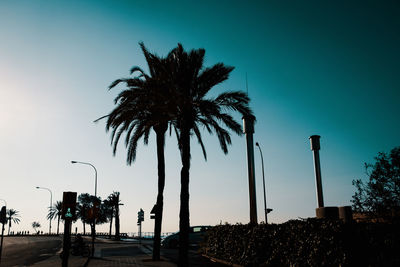 Low angle view of silhouette palm trees against sky at dusk