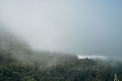 fog