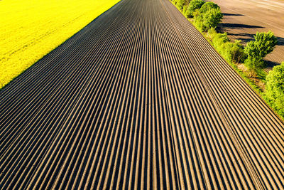 High angle view of yellow pattern on footpath