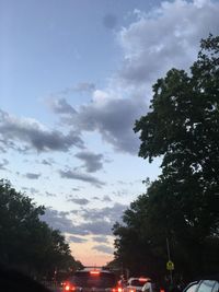 Low angle view of trees against sky