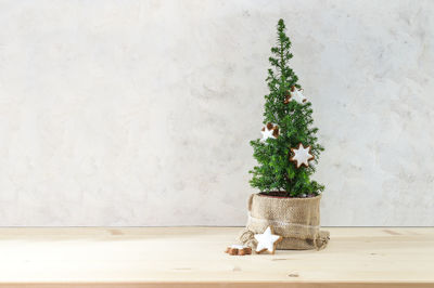 Potted plant on table