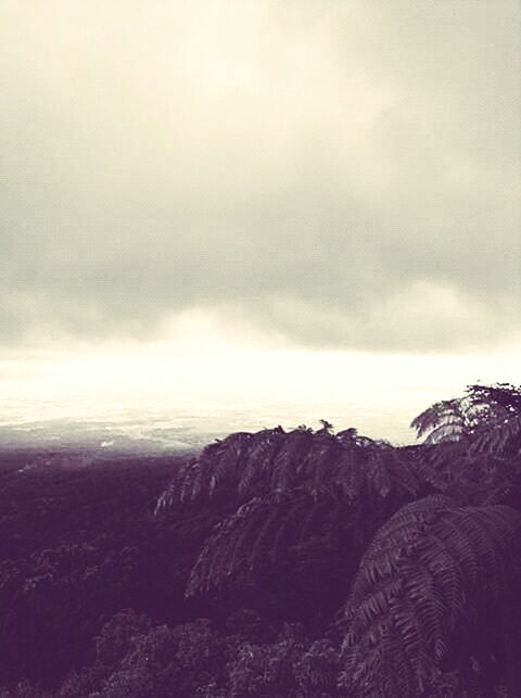 scenics, tranquil scene, mountain, tranquility, beauty in nature, non-urban scene, nature, day, atmosphere, sky, atmospheric mood, outdoors, geology, physical geography, cloudscape, mountain range, majestic, rock formation, remote, no people, distant, cloud - sky, tourism, sea, land feature, solitude