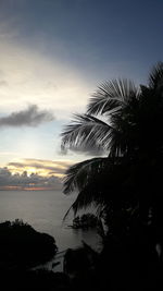 Silhouette palm tree by sea against sky at sunset