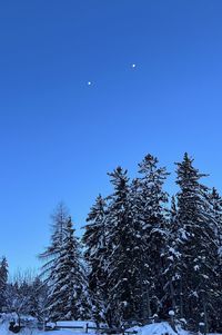 snow