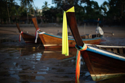 Boats moored on beach against trees
