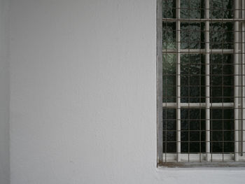 Close-up of window on wall of building