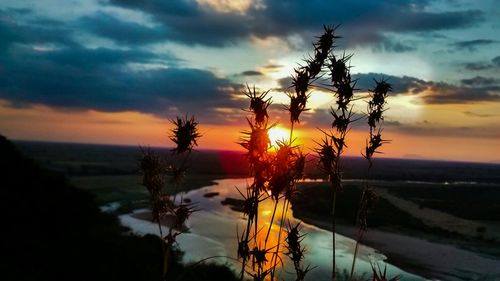 Scenic view of landscape against cloudy sky