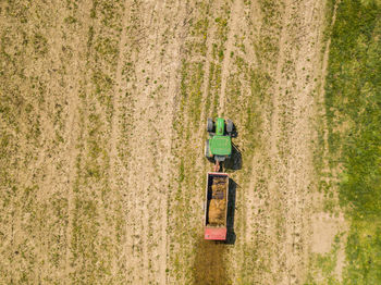 High angle view of working in agricultural field