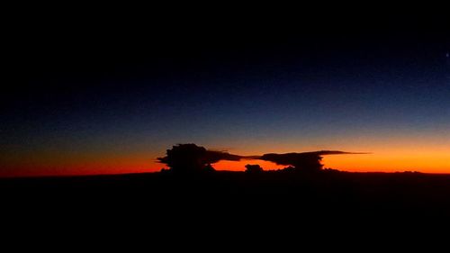 Silhouette of trees at sunset