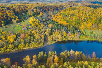 Aerial view of river in forest during autumn