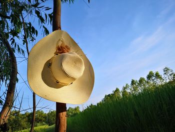 Low angle view of hat on field against sky