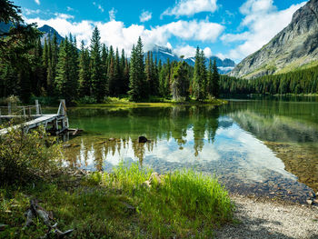 Scenic view of lake by trees against sky
