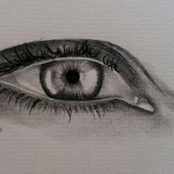 human eye