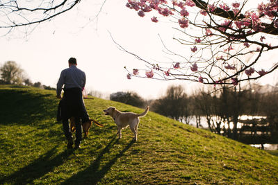 Full length of man with dog on tree