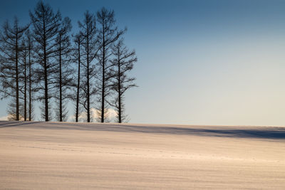 Bare tree on snowy field against clear sky