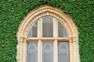 Closed door of a building