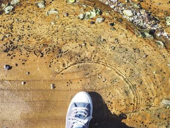 Low section of person standing on rock