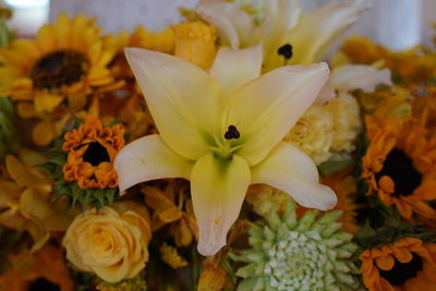 Close-up of yellow flowering plant