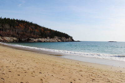 Scenic ocean and sky view of arcadia national park beach