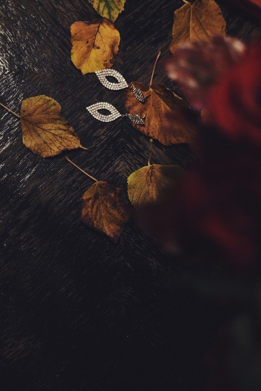 CLOSE-UP OF AUTUMN LEAVES ON TABLE