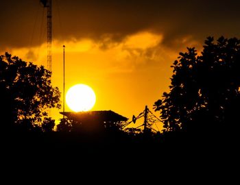 Silhouette of trees at sunset