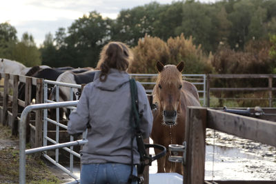 Rear view of horse standing in ranch