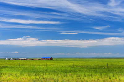 Scenic view of agricultural field against sky