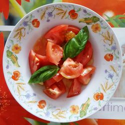 Close-up of served food in plate