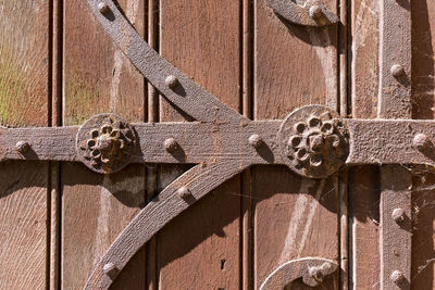 Full frame shot of cat on wooden door