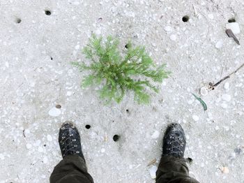 Low section of man standing on snow