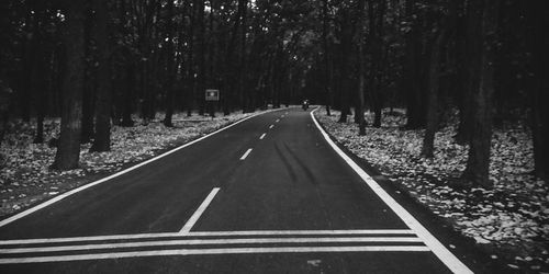 Road amidst trees