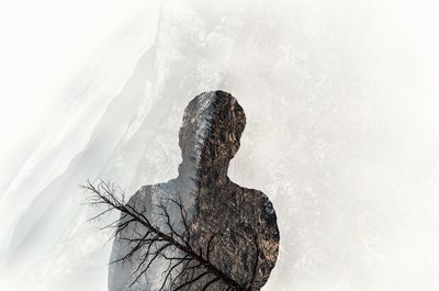 High angle view of bare tree on rock against sky