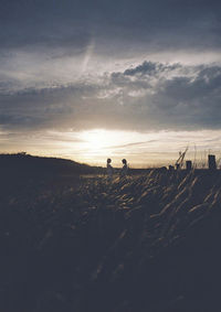 Silhouette people on field against sky during sunset