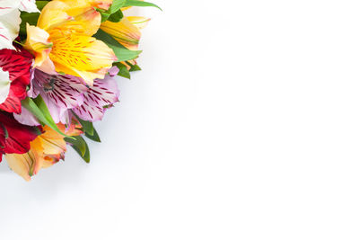High angle view of flower bouquet against white background