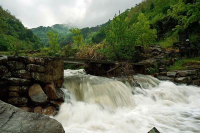 Scenic view of waterfall in forest