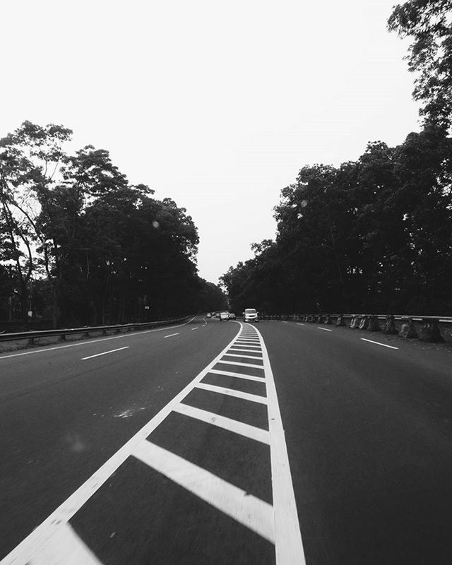 transportation, the way forward, road marking, road, diminishing perspective, vanishing point, tree, asphalt, clear sky, double yellow line, road sign, dividing line, sky, arrow symbol, country road, empty, street, mode of transport, guidance, day