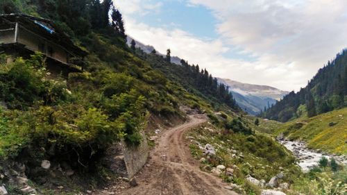 Scenic view of road by trees against sky