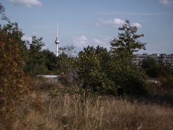 Trees and tower against sky