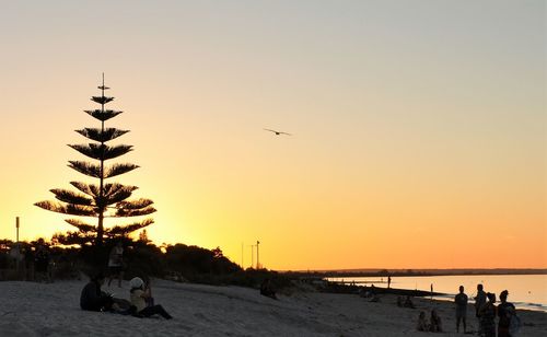 Silhouette birds flying over beach against sky during sunset