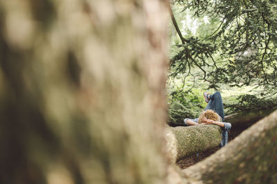 Woman lying on tree trunk seen through branches