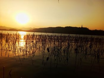 Scenic view of lake against sky during sunset